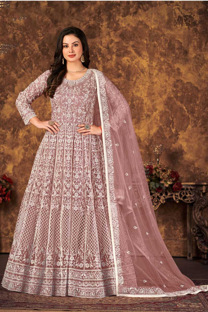 Net Fabric Chikoo Color Function Wear Winsome Anarkali Suit