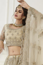 Load image into Gallery viewer, Trendy Cream Color Net Fabric Reception Wear Lehenga Choli
