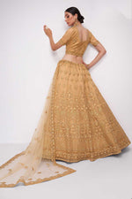 Load image into Gallery viewer, Incredible Embroidered Work On Net Fabric Chikoo Color Lehenga
