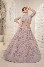 Load image into Gallery viewer, Net Fabric Chikoo Color Function Wear Lehenga With Winsome Embroidered Work
