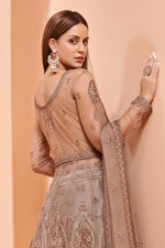 Load image into Gallery viewer, Net Fabric Function Wear Embroidered Chikoo Color Anarkali Suit
