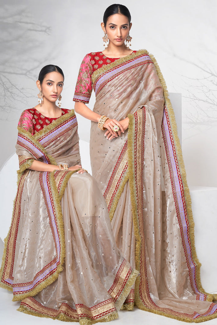Excellent Fancy Fabric Chikoo Color Function Look Saree