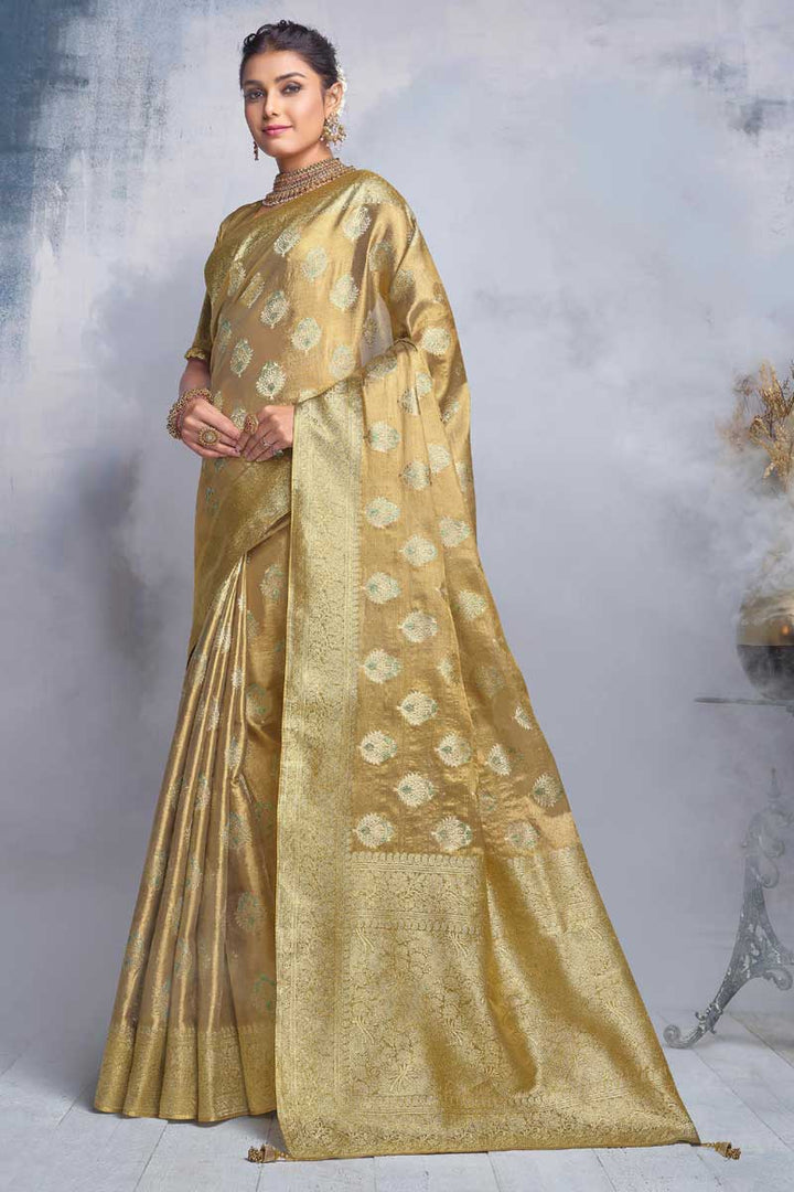 Aristocratic Fancy Fabric Chikoo Color Festival Wear Saree