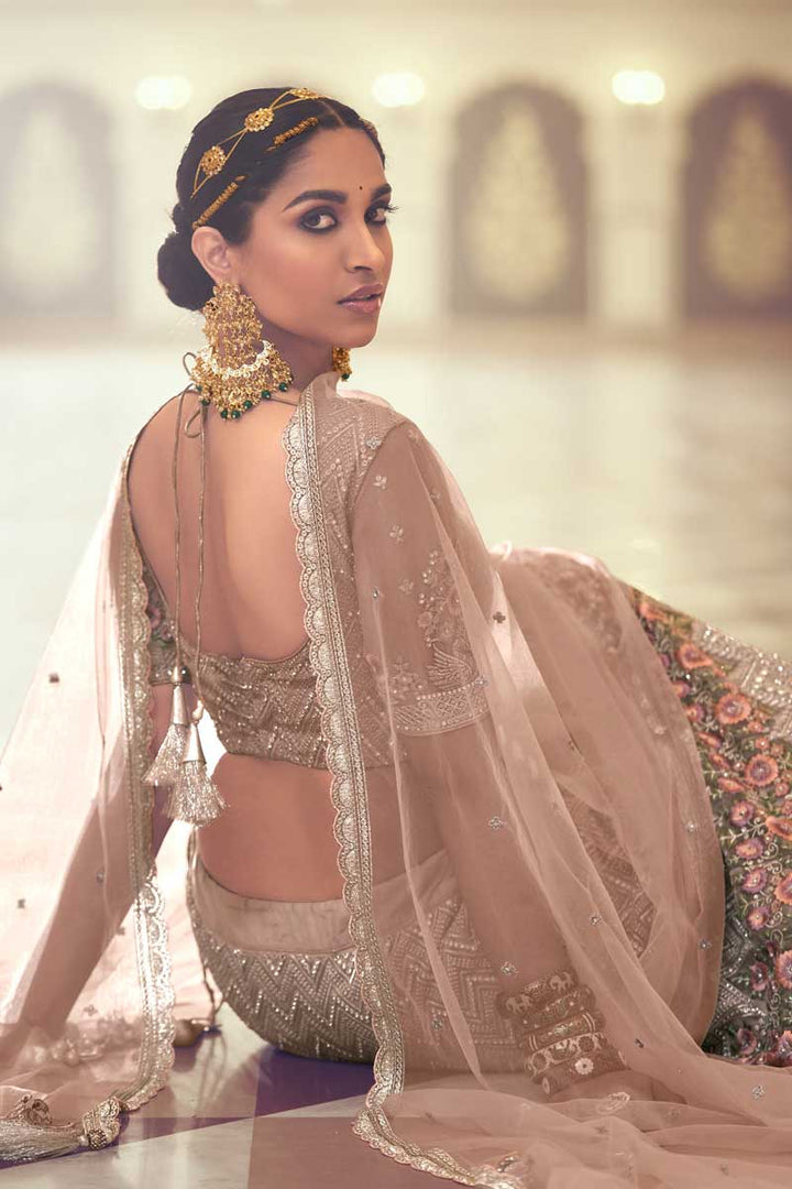 Sangeet Wear Designer Chikoo Color Lehenga Choli In Net Fabric