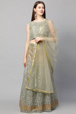 Load image into Gallery viewer, Net Fabric Olive Color Sensational Embroidered Lehenga
