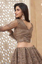 Load image into Gallery viewer, Embroidered Wedding Wear Lehenga Choli In Brown Color Net Fabric
