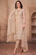 Load image into Gallery viewer, Chikoo Color Net Fabric Festival Wear Embroidered Imposing Salwar Suit
