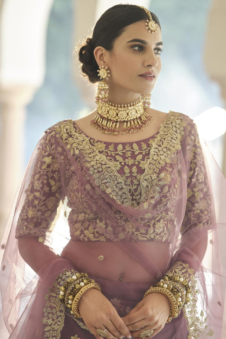Chikoo Color Embroidered Function Wear Lehenga Choli In Net Fabric