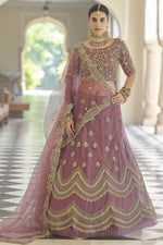 Load image into Gallery viewer, Chikoo Color Embroidered Function Wear Lehenga Choli In Net Fabric
