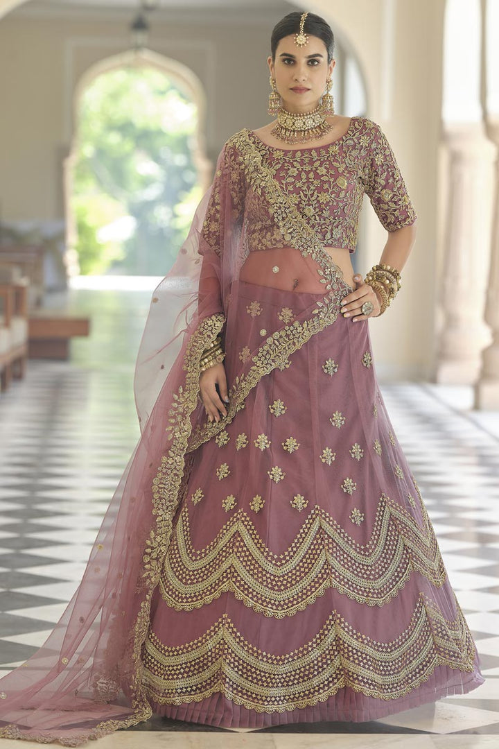 Chikoo Color Embroidered Function Wear Lehenga Choli In Net Fabric