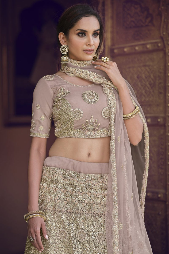 Net Fabric Sangeet Wear Sequins Work Lehenga Choli In Chikoo Color