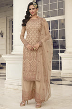 Load image into Gallery viewer, Chikoo Color Net Fabric Function Wear Divine Salwar Suit
